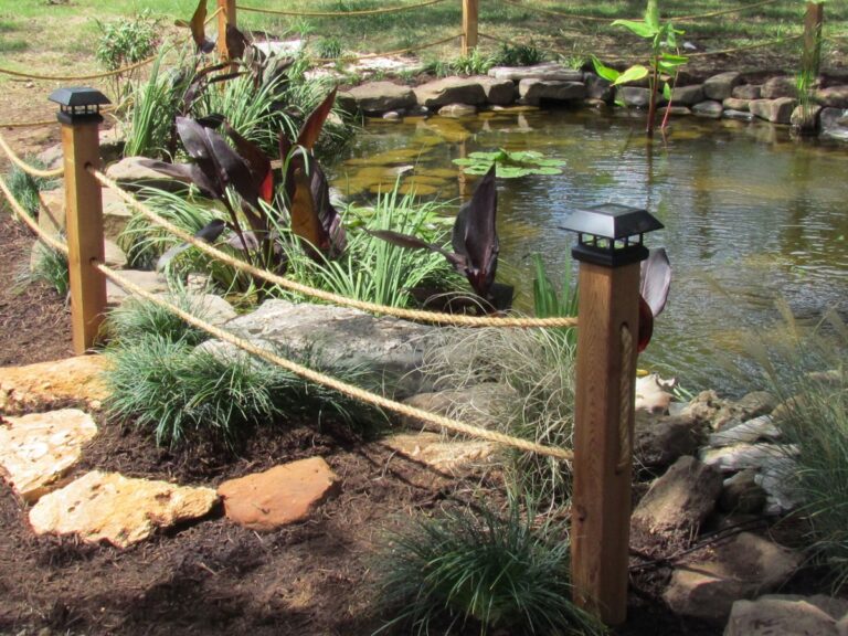 6 Ways To Make Your Pond Safer For Children How To Succeed 2024