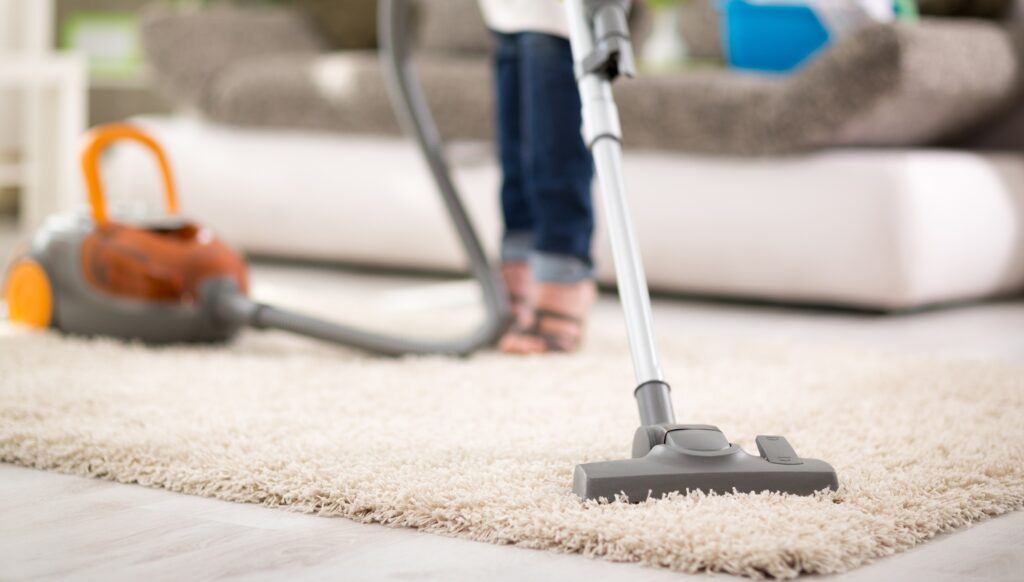 7 Best Professional Carpet Cleaning Products to Buy in 2024 How To
