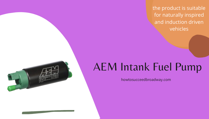  AEM Intank Fuel Pump